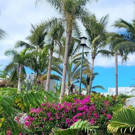 Golf Del Sur Canadas Lejlighed